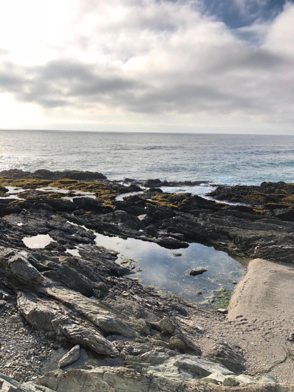 Delfin Apart Pichilemu Dış mekan fotoğraf