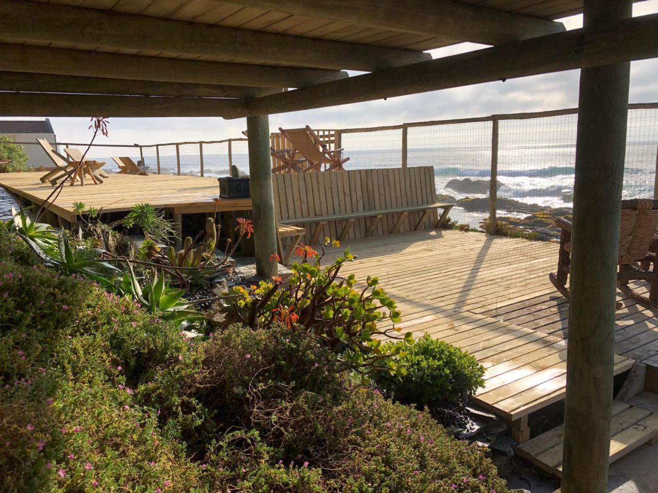 Delfin Apart Pichilemu Dış mekan fotoğraf