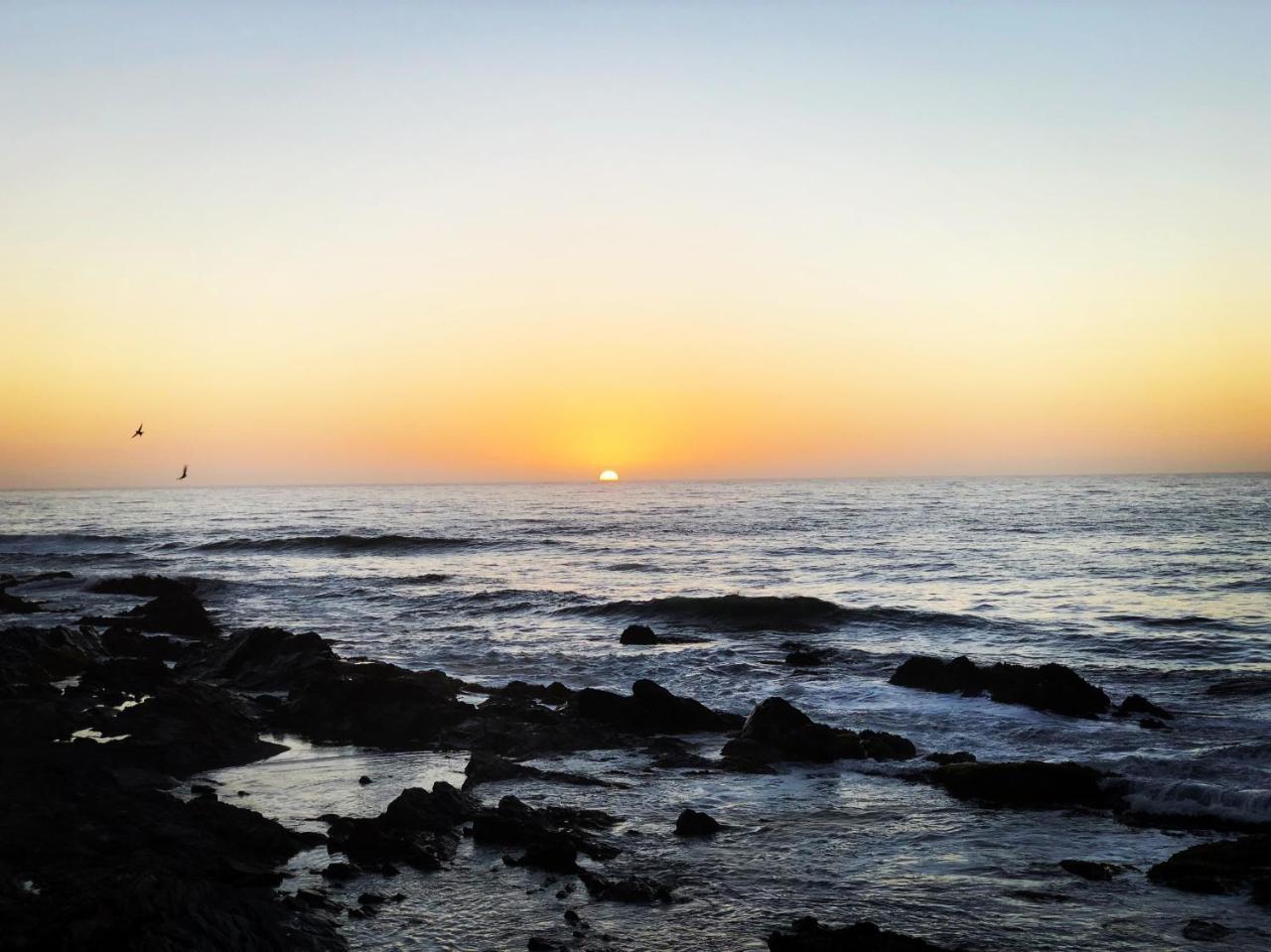 Delfin Apart Pichilemu Dış mekan fotoğraf